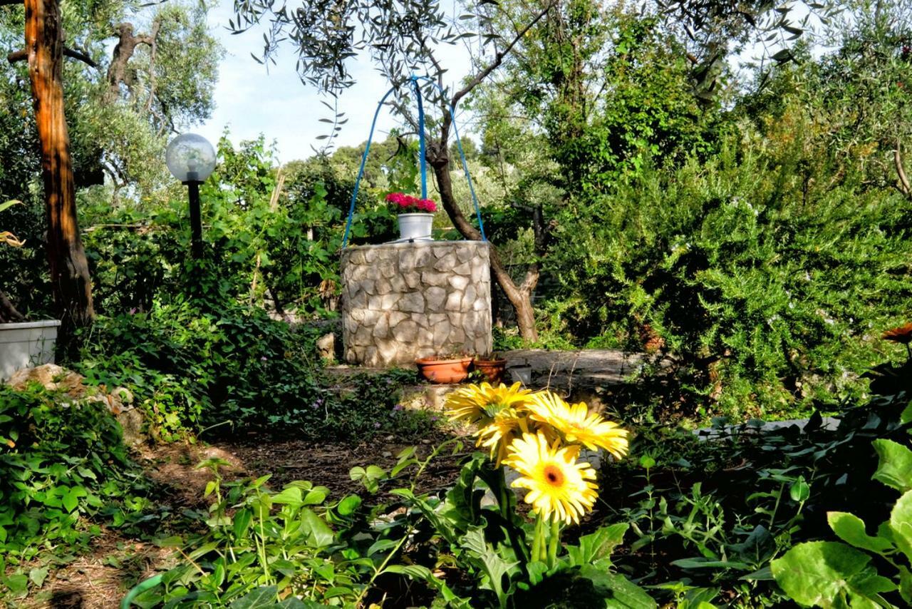 Villa Terra Di Ulivo Vieste Exterior foto