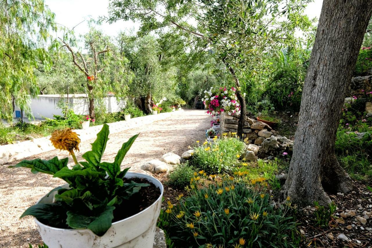 Villa Terra Di Ulivo Vieste Exterior foto