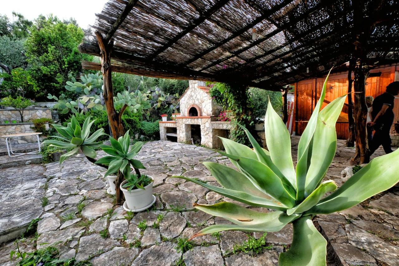 Villa Terra Di Ulivo Vieste Exterior foto